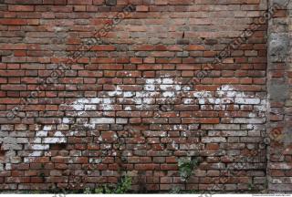 Photo Texture of Wall Brick 0003